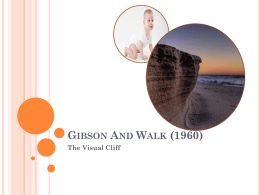 Gibson And Walk (1960)