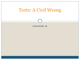 Torts: A Civil Wrong Chapter 12