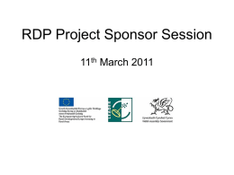 RDP Project Sponsor Session - Neath Port Talbot County