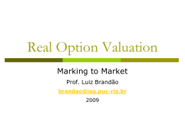 Real Options Valuation - IAG PUC-Rio