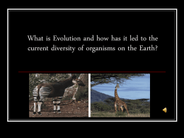 What is Evolution and how has it led to the current