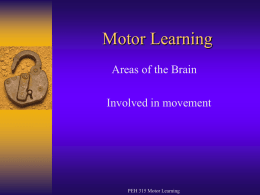 Motor Learning - Rocky Mountain College