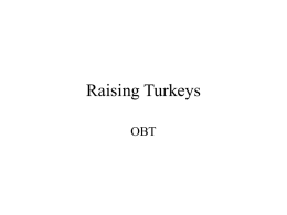 Raising Turkeys - Midlands State University