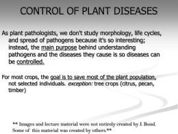 Nematodes - Welcome to SIU Plant Pathology