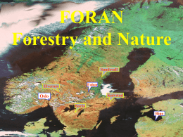 FORAN forestry and nature consulting