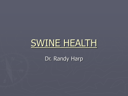 Swine Health - Tarleton State University