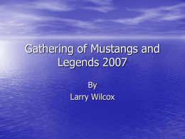 Gathering of Mustangs and Legends 2007