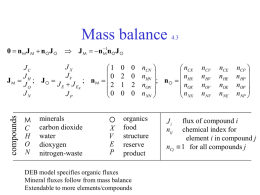 Mass balance 4.3