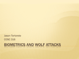 Biometrics and wolf attacks