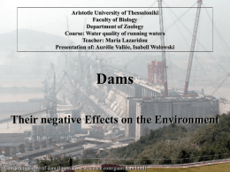 Disadvantages of Dams