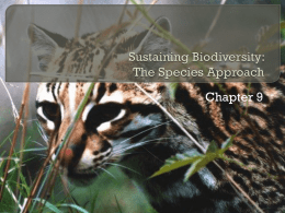 Sustaining Biodiversity: The Species Approach