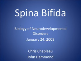 Spina Bifida - ContentEdits.com by Infomedia