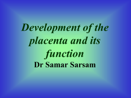 Development of the placenta and its function Dr