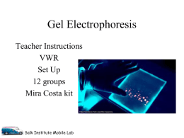 Gel electrophoresis teacherVWR