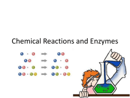 Chemical Reactions and Enzymes - Milton