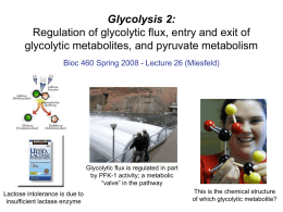 Bioenergetics and Metabolism