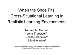 When the Shoe Fits: Cross-Situational Learning in