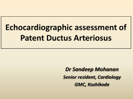 Echocardiographic assessment of Patent Ductus Arteriosus