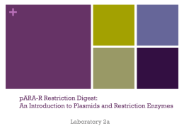 pARA-R Restriction Digest: An Introduction to Plasmids and