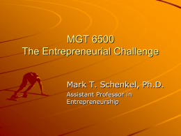 MGT 6500 Entrepreneurial Challenge