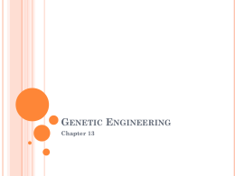 Genetic Engineering - Onteora Central School District