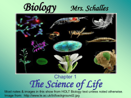 Biology I Mrs. Schalles