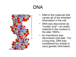 DNA - NIU Department of Biological Sciences