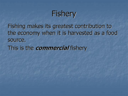 Fishery - Weebly
