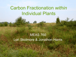 Carbon Isotope Fractionation within Plants