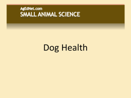 SA103 Dog Health and Reproduction