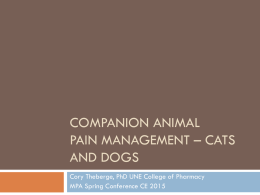 Companion Animal Pain Management