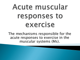 Acute muscular responses to exercise