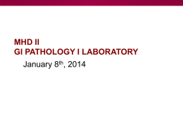 MHD II GI Pathology I Laboratory