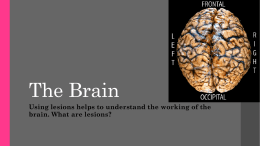 The Brain - ISD 2135 Maple River Schools / Homepage