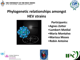 Phylogenetics