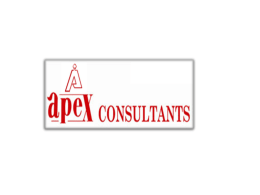 Apex Consultants Presentation