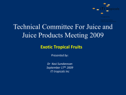 Slide 1