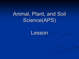 Lesson C8&ndash;1