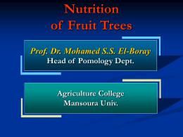 Nutrition of Fruit Trees