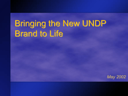 Rebranding UNDP - JPO Service Centre