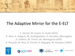 The Adaptive Mirror for the E-ELT