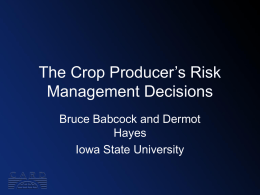 The Crop Producer's Risk Management Decisions