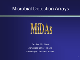 Microbial Detection Arrays - University of Colorado Boulder