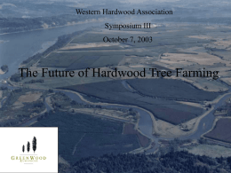 Poplar Tree Farming - Western Hardwood Association