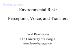 Environmental Risk: Perception, Voice, and Transfers