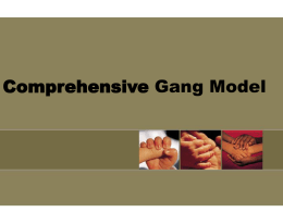 COMPREHENomprehensive Community Gang Intervention