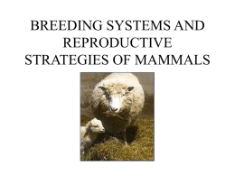 BREEDING SYSTEMS AND REPRODUCTIVE STRATEGIES OF …