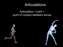 Articulations - Roden's Anatomy & Physiology