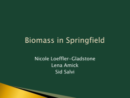 Springfield Biomass Plant Proposal