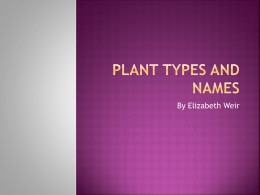 Plant Types and names